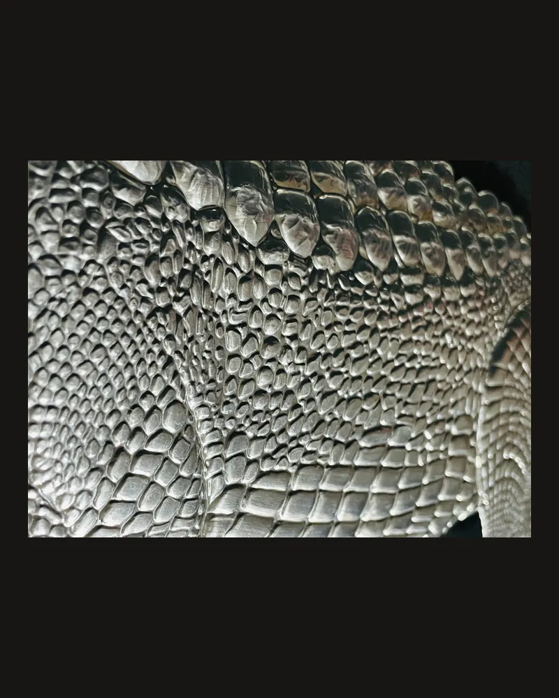 Armatura primordiale 5