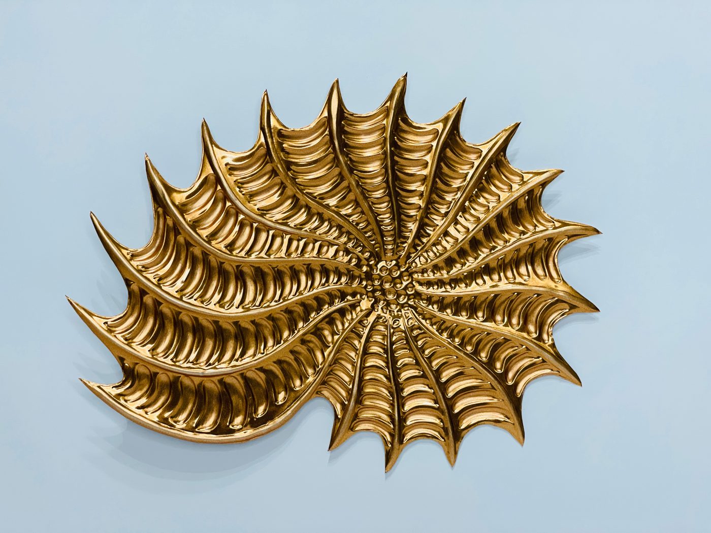 Globigerina