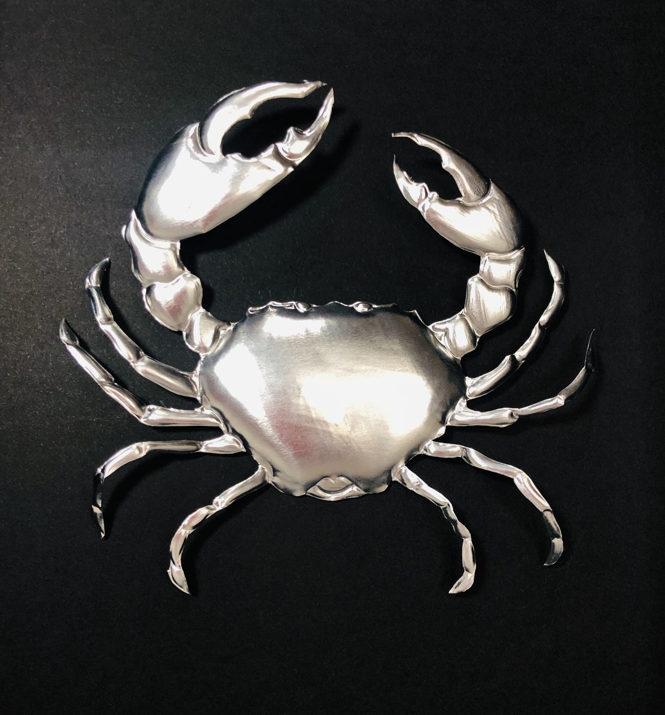 Carapace