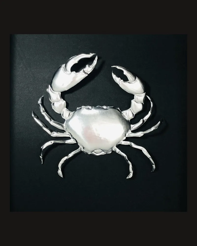 Carapace 2