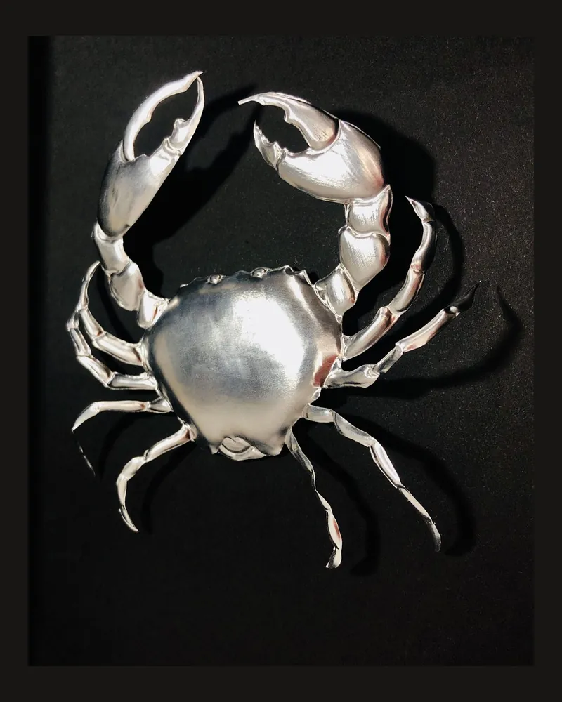 Carapace 3