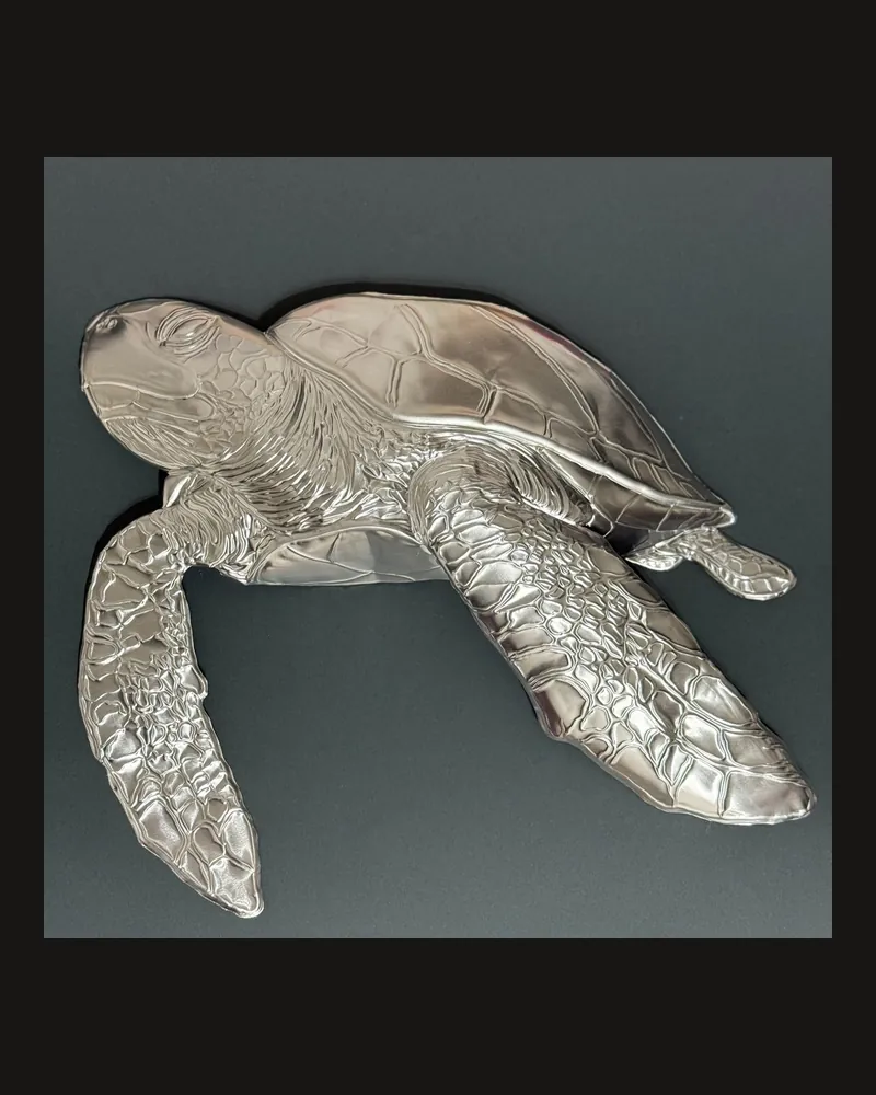 Tartaruga 3