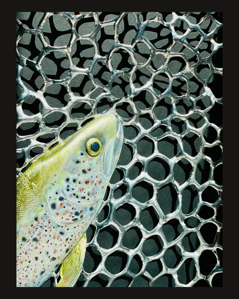 Trota 6