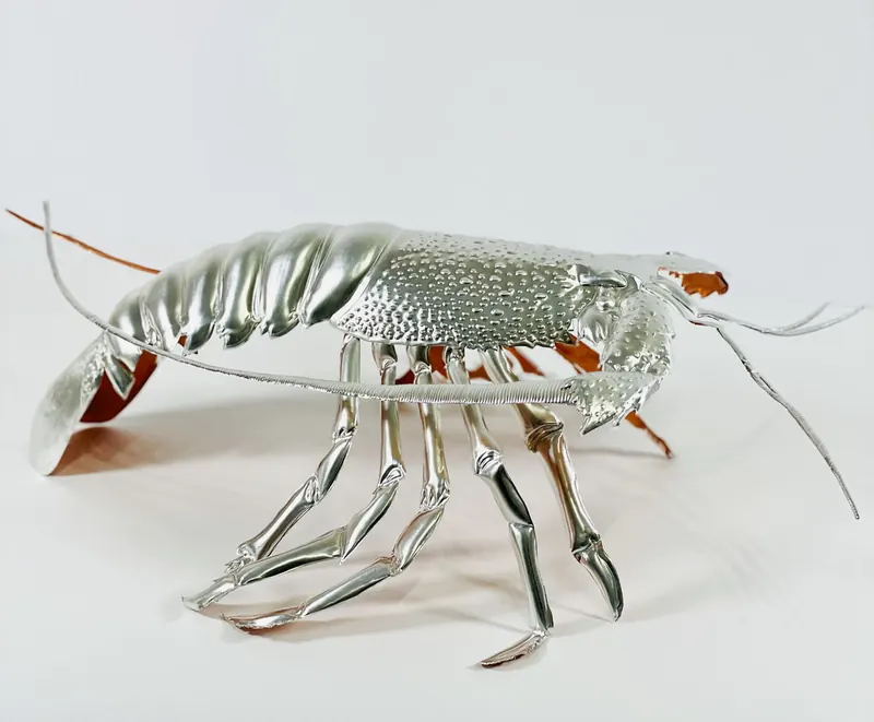 Forma Organica e Figura